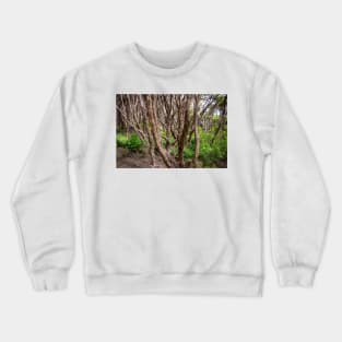 Manuka trees. Crewneck Sweatshirt